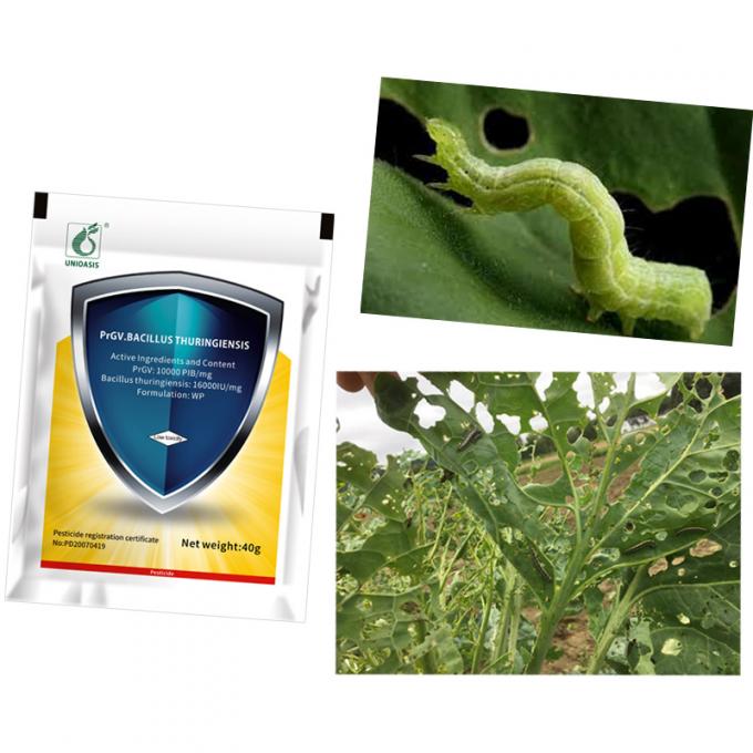 Natural Agriculture Pesticide Wettable Powder Biological Insecticides