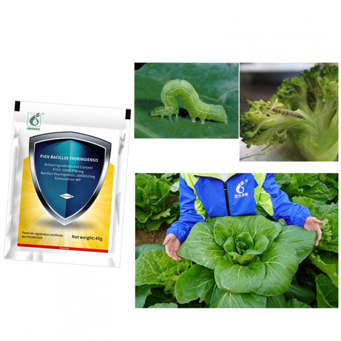 PrGV Bacillus Thuringiensis Natural Bug Spray Organic Insecticide For