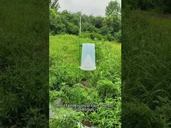 Pest trap insect trap beet army worm in maiz cabbage worm broccoli trapping