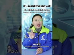 Say Goodbye to Cockroaches with Pet Safe Croach Bait Gel and Active Ingredient Cockroach Virus