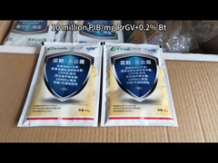 Biological Insecticide To Eliminate Diamondback Moth Cabbage Worm PrGV