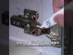 Biological Insecticide Adult Cockroach Larva Eggs Killing Bait Gel Roach Elimination