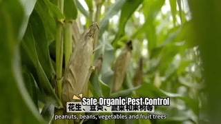 Organic Pest Control for Healthy Crops