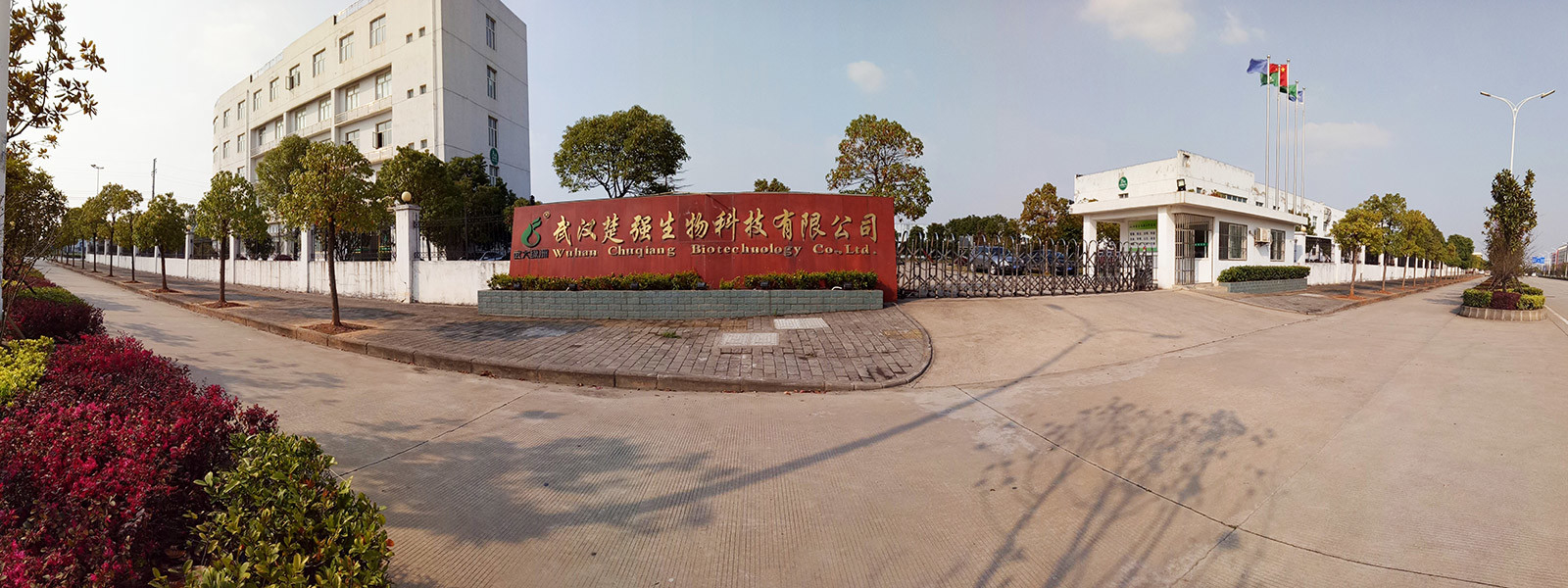 China Wuhan Chuqiang Biological Technology Co.,ltd company profile