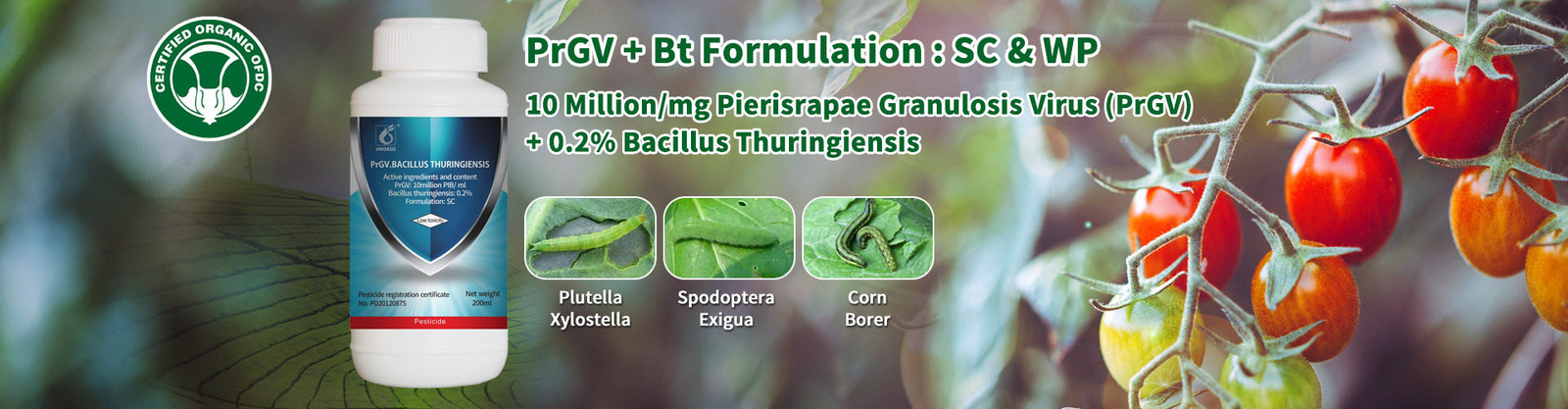 Biological Insecticides