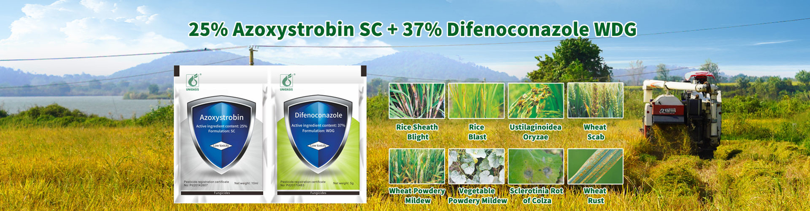 Natural Vegetable Insecticides