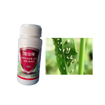30% Thiamethoxam Kill All Aphid Suitable For Green House Agricultural Pesticide SC