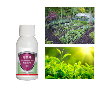 High Effective Pesticide 30% Thiamethoxam Aphids Pesticide Insecticide