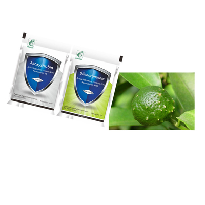 Agrochemical Bactericide 25% Azoxystrobin SC 37% Difenoconazole WDG Treat Grape Blight