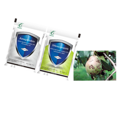 Agrochemical Bactericide 25% Azoxystrobin SC 37% Difenoconazole WDG Treat Grape Blight
