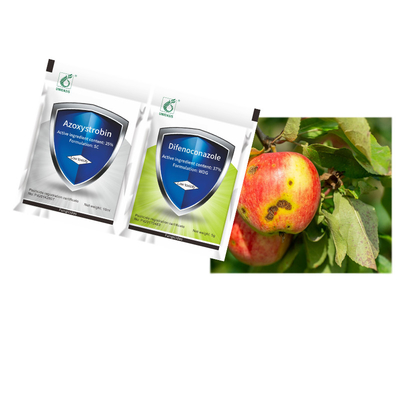 Fungal Disease Treatment Control Rice Blast 37% Difenoconazole 25% Azoxystrobin Fungicide