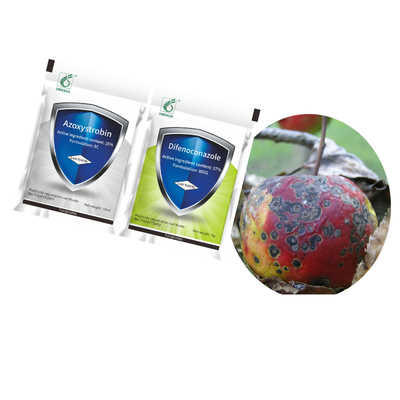 Fungal Disease Treatment Control Rice Blast 37% Difenoconazole 25% Azoxystrobin Fungicide
