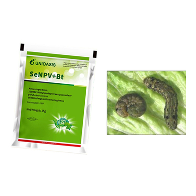 Long Lasting Effect Pesticide SeNPV Bt Farmland Planting Vegetable Field Pest Killing