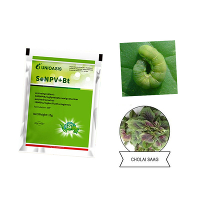 Organic Pesticide WP Natural Insecticide Nuclear Polyhedrosis Virus SeNPV Good Effect on Cabbage Worm