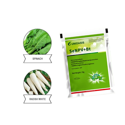 Effective Pesticide for Cabbage Worms Caterpillars 100% Natural Safe Organic Product