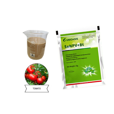 Cruciferous Vegetables Spodoptera Exigua Spodoptera Litura Killing Biopesticde Plant Insecticide