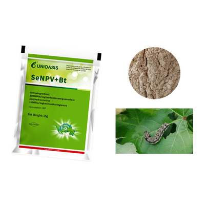 Powder Spray Organic Pest Killer 10000 PIB/Mg SeNPV SeNPV Virus Extract