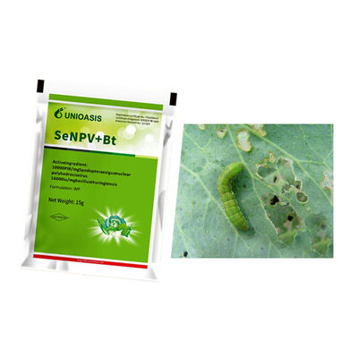 Organic Certification SeNPV Bt Biopesticide for Beet Armyworm Control in Brassicaceous Vegetables with No Residue