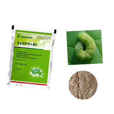 Eco Friendly Brassicaceous Vegetable Organic Insecticide SeNPV Powder Spray Broccoli Chinese Cabbage