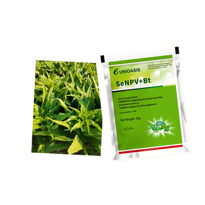 Vegetable Protection Environmentally Friendly Safe Insecticide for Safeguarding Crops