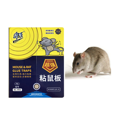 Adhesive Rat Glue Bait Insecticide Building Grade Hard Board Mice Killer