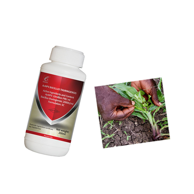 No Safety Interval Agricultural Pesticide AcNPV Kill Lepidopteran Pests For Turnip Tomato