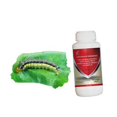 Vegetable Pesticide AcNPV10 Million PIB/mL Autographa California Nuclear Polyhedrosis Virus Combine With 2000IU/mL Bt