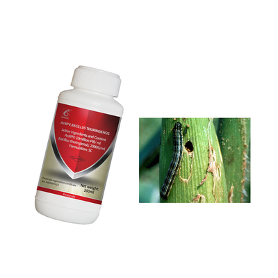 Organic PD20097412 Pesticide AcNPV Kill Beet Armyworm Without Resistance Vegetable Crop