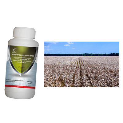 HaNPV Bt SC Agriculture Pesticide Kill Oriental Tobacco Budworm Xinjiang China Cotton