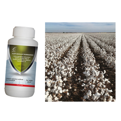 Spray HaNPV Pure Biological Preparation 10 Million PIB/ML 2000IU/ML Bt Kill Cotton Bollworm