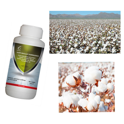 Crop Protection Biological Pesticide With Liquid Or Powder Formulation