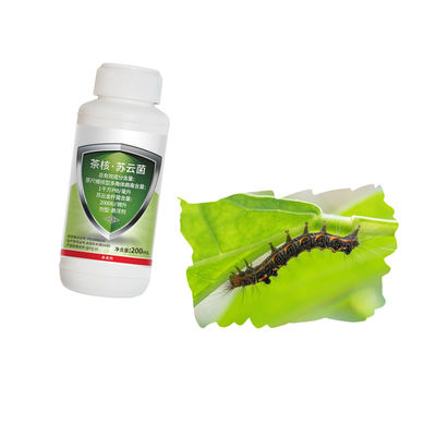 Tea Geometrid Common Pests Kill Organic Chinese Tea Good Effect Ecotropis Obliqua Nuclear Polyhedrosis Virus
