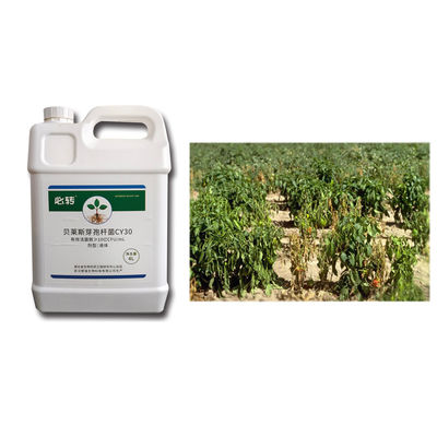 Low Cost Fertilizer 1 Billion CFU/mL Fungicide CY30 Cure Plant Disease Increase Yield Promote Production