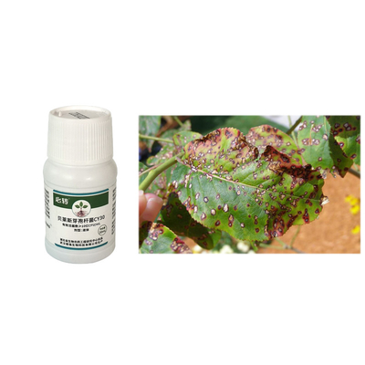 Fungicide CY30 Prevent Aubergine Root Rot Dead Tree Promote Growth 300 Times lrrigation Root Blade Spray