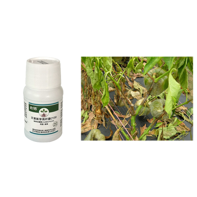 Promote Plant Growth CY30 Bacillus Velezensis Biologcal Fertilizer in Liquid Form