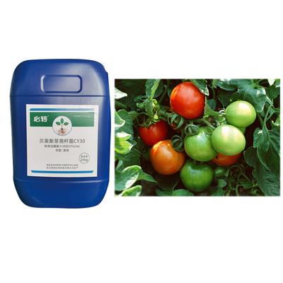 Functional Bacterium Bacillus Velezensis CY30 Fertilizer Improve Soil Microbial Flora Tea Plants Melon Strawberry