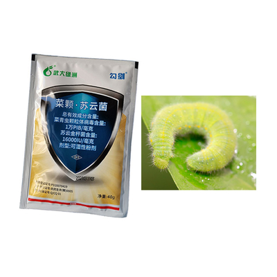 Biological Powder Insecticide To Eliminate Diamondback Moth Cabbage Worm