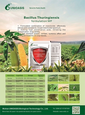 AcNPV Bt Biological Insecticides for Cabbage White Moth Beet Armyworm Control