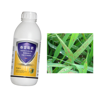 6% Kasugamycin Soluble Fungicide for Fungal Disease Treatment