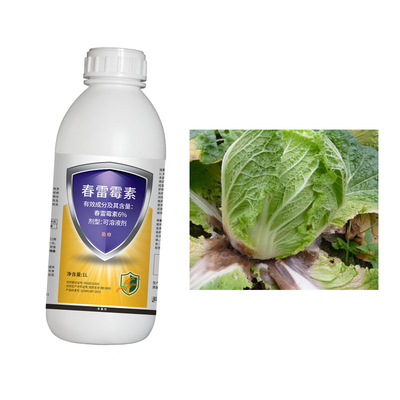 Kasugamycin 6% Broad Spectrum Fungal Disease Control Soluble Concentrate
