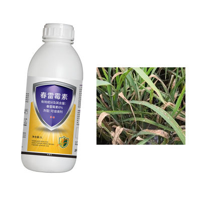 Kasugamycin manage potato black leg cure wound repair function rice fruits vegetables