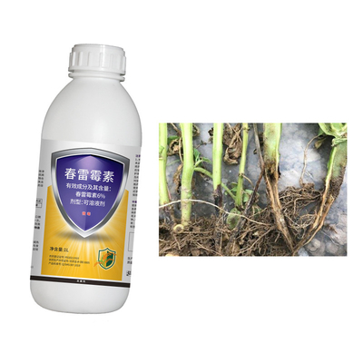 Bactericide 6% Kasugamycin Strong Permeability Wide Application Spray Drip Rice Disease Control