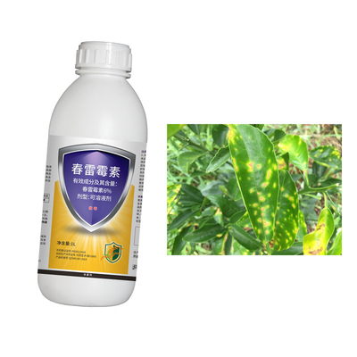 Effective Spray Control for Rice Blast Fungal Diseases
