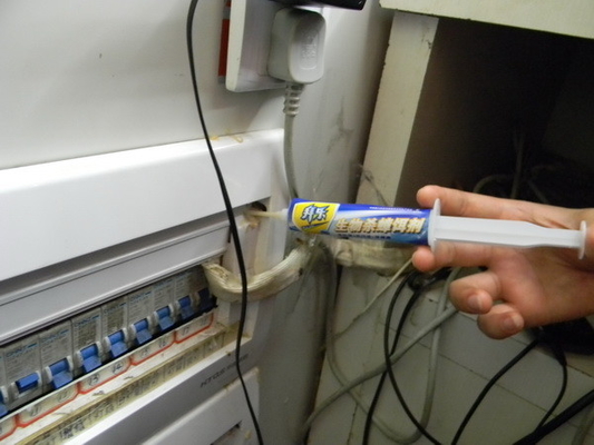 kill cockroaches in the house kill cockroaches eggs kill cockroaches fast naturally cockroach killer gel how to use