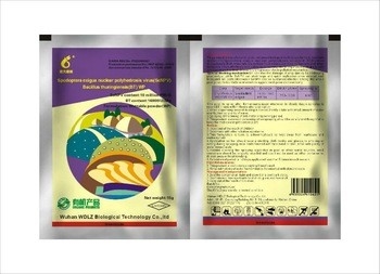 Natural bioinsecticide sprays for Maize Crops biopesticides used for management of maize