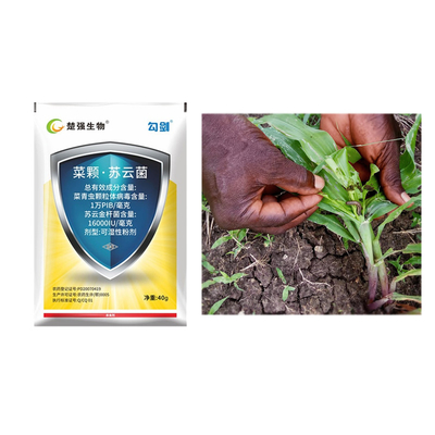 Bio pesticide company cabbage worm caterpillar control organic