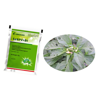Effective Pest Management with SeNPV And Bacillus Thuringiensis Fall Armywrom Beet army wrom Control Solution