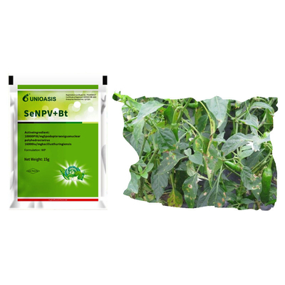 Effective Pest Management with SeNPV And Bacillus Thuringiensis Fall Armywrom Beet army wrom Control Solution