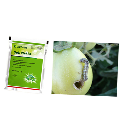 Powerful And Effective Beet Armyworm Chemical Biological Control In Maize 2 Years Shelf Life 20g Per 15L Water Application Rate