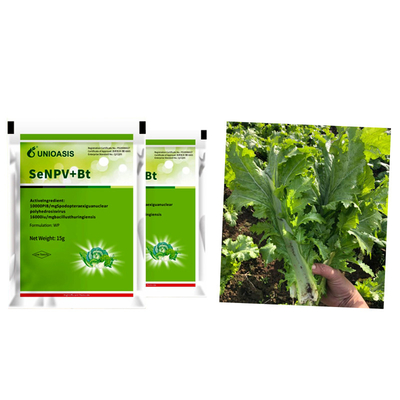 Active Ingredient Pest Virus And Bt Corn Kill Beet Armyworm Eggs Beet Armyworm Caterpillar